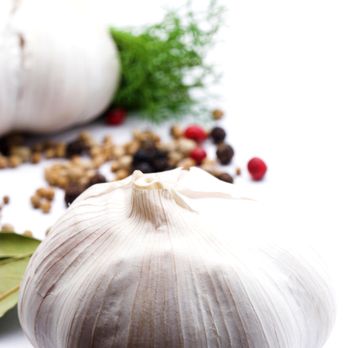 Spice Garden - Indian Takeaway in Benson - Indian Near Me - Wallingford, OXF Spice Garden - Indian Takeaway in Benson - Indian Near Me - Wallingford, OXF