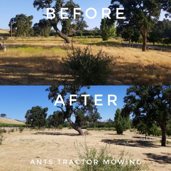 Ants Tractor Mowing - Lawn Services Near Me - Paso Robles, California