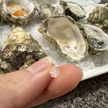 Crescent Seafood - Fake ice for oysters , "warm" oysters - Seafood Markets Near Me - Crescent City, California Crescent Seafood - Fake ice for oysters , "warm" oysters - Seafood Markets Near Me - Crescent City, California