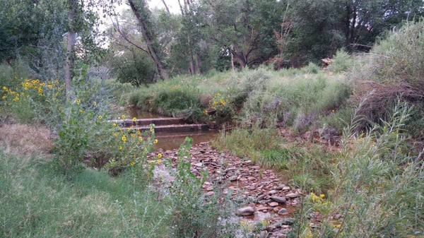 Up the Creek Campground by null