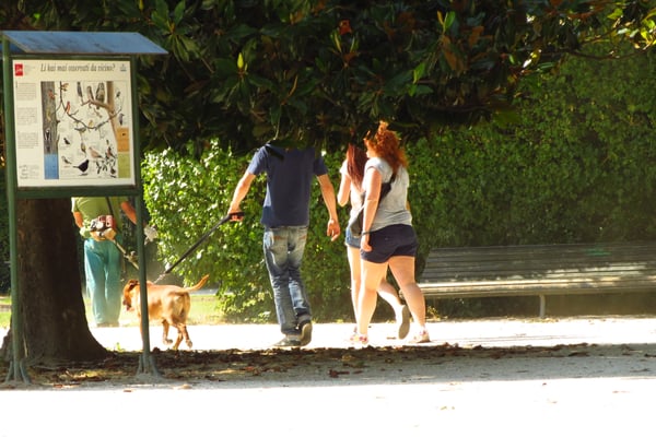 Parco Ducale by null