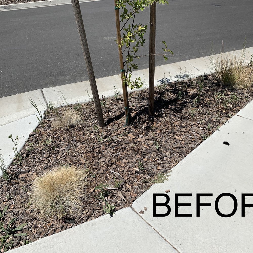 Harry's Landscaping and Maintenance - Landscaping Near Me - Sacramento, California