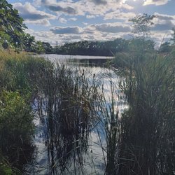 East Branch Forest Preserve Dog Off-Leash Area