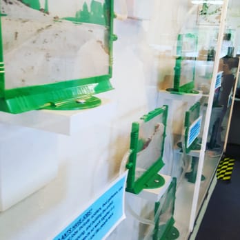 Bug & Reptile Museum - A large Ant Farm all connected together at the Bug Museum! - Museums Near Me - Bremerton, Washington