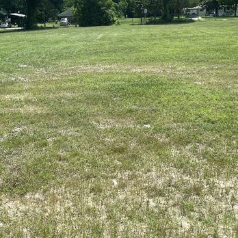 BDR Trucking & Tractor - a grassy field with trees in the background - Lawn Services Near Me BDR Trucking & Tractor - a grassy field with trees in the background - Lawn Services Near Me