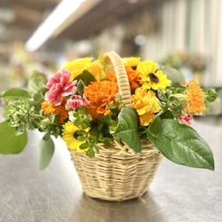 City College Of San Francisco - Intro to Floral arrangement