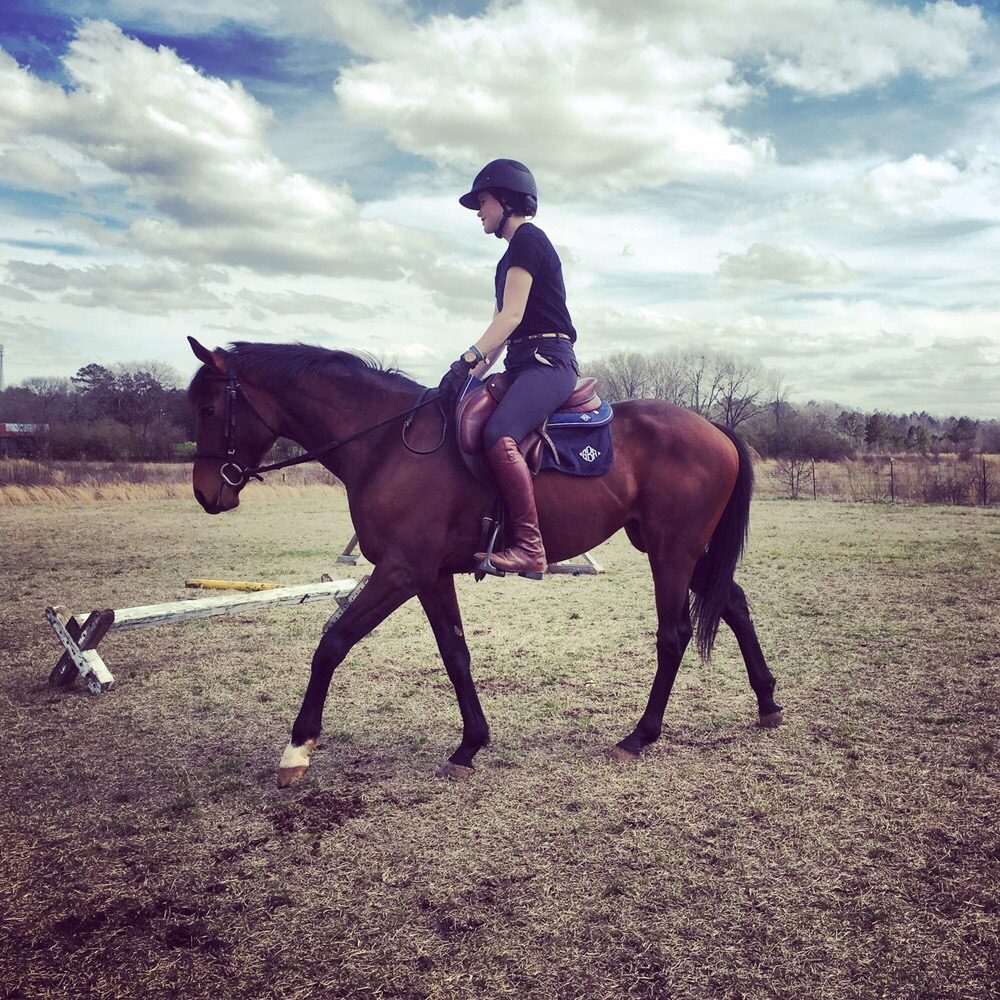 SPRINGSTONE EQUESTRIAN 2600 Blue Springs Rd, Wilsonville, Alabama