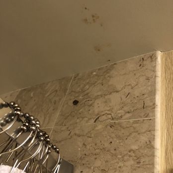 Crowne Plaza Albuquerque - Moisture damage. - Hotels Near Me - Albuquerque, New Mexico Crowne Plaza Albuquerque - Moisture damage. - Hotels Near Me - Albuquerque, New Mexico