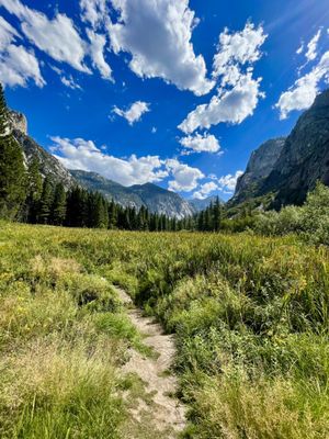 Kings Canyon National Park by null