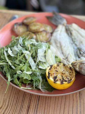 Tavola Rustica - Larkspur by null