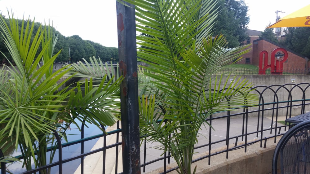 WATERWAY BAR & GRILL Updated October 2024 29 Reviews 220 W