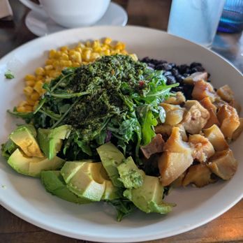 Current Cafe + Surf - Waikiki vegan bowl - Cafes Near Me - Long Beach, Washington Current Cafe + Surf - Waikiki vegan bowl - Cafes Near Me - Long Beach, Washington