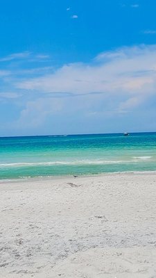 St. Andrews State Park by null