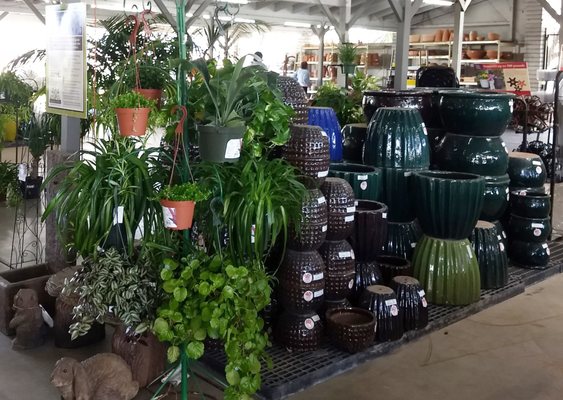 Summerwinds Nursery Country Club 3160 S Dr Mesa Az 3160 S Country Club Dr Mesa Az