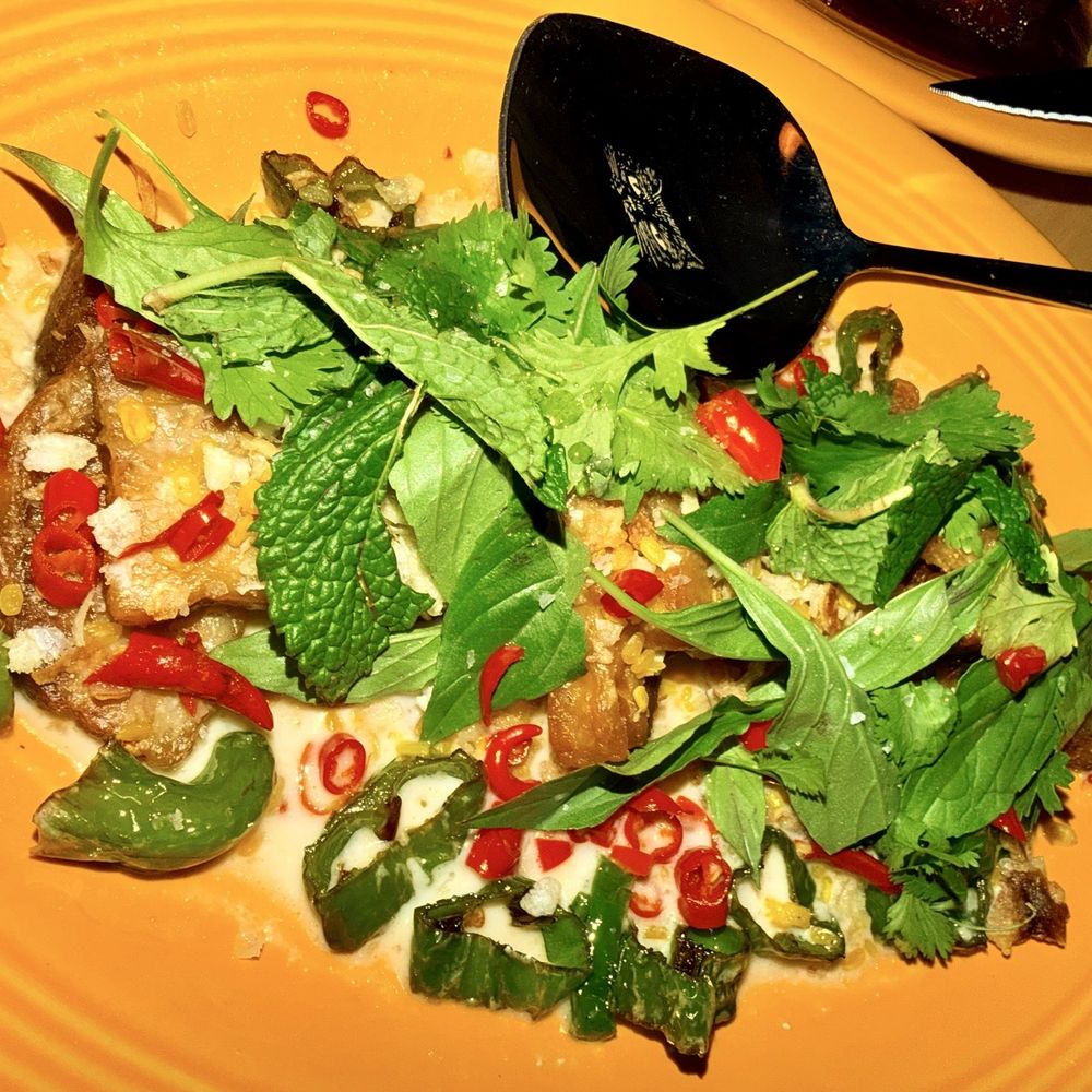 Big Cat - Spice Pork Belly - Mediterranean Near Me - Raleigh, North Carolina Big Cat - Spice Pork Belly - Mediterranean Near Me - Raleigh, North Carolina