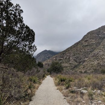 Guadalupe Mountains National Park - McKittrick Canyon Trail - Parks Near Me - Salt Flat, Texas