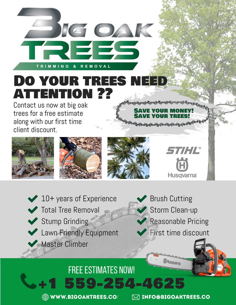 BIG OAK TREES Fresno, California Tree Services Phone Number Yelp