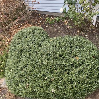 My Three Rose Facility Management - Landscaping Near Me - Windham, Connecticut