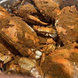 Mr. Eds Crabs - Old Bay Crabs cooked live at home.
