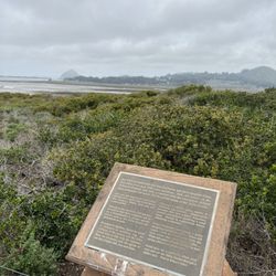 Los Osos Elfin Forest