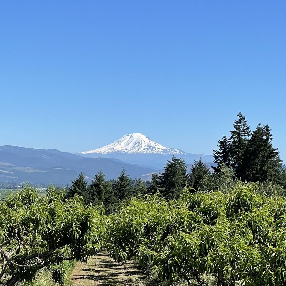 Packer Orchards & Bakery - Orchards - Bakeries Near Me - Hood River, Oregon Packer Orchards & Bakery - Orchards - Bakeries Near Me - Hood River, Oregon
