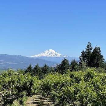 Packer Orchards & Bakery - Orchards - Bakeries Near Me - Hood River, Oregon