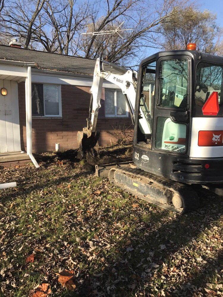 Slide of Mr Root Out