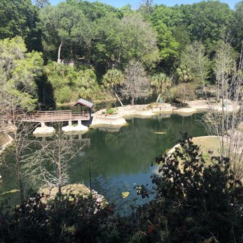 Cedar Lakes Woods and Gardens - The picture does not do justice; there are tons of flowering plants & trees providing a variety of color and texture - Botanical Gardens Near Me - Williston, Florida Cedar Lakes Woods and Gardens - The picture does not do justice; there are tons of flowering plants & trees providing a variety of color and texture - Botanical Gardens Near Me - Williston, Florida