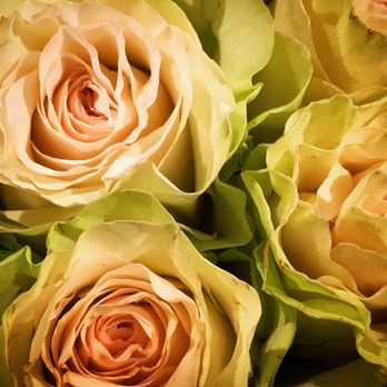 The Fresh Market - Those roses though... February 2018 - Grocery Near Me - Wilmette, Illinois