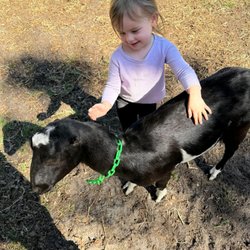 Dirty Dog Organics Farm