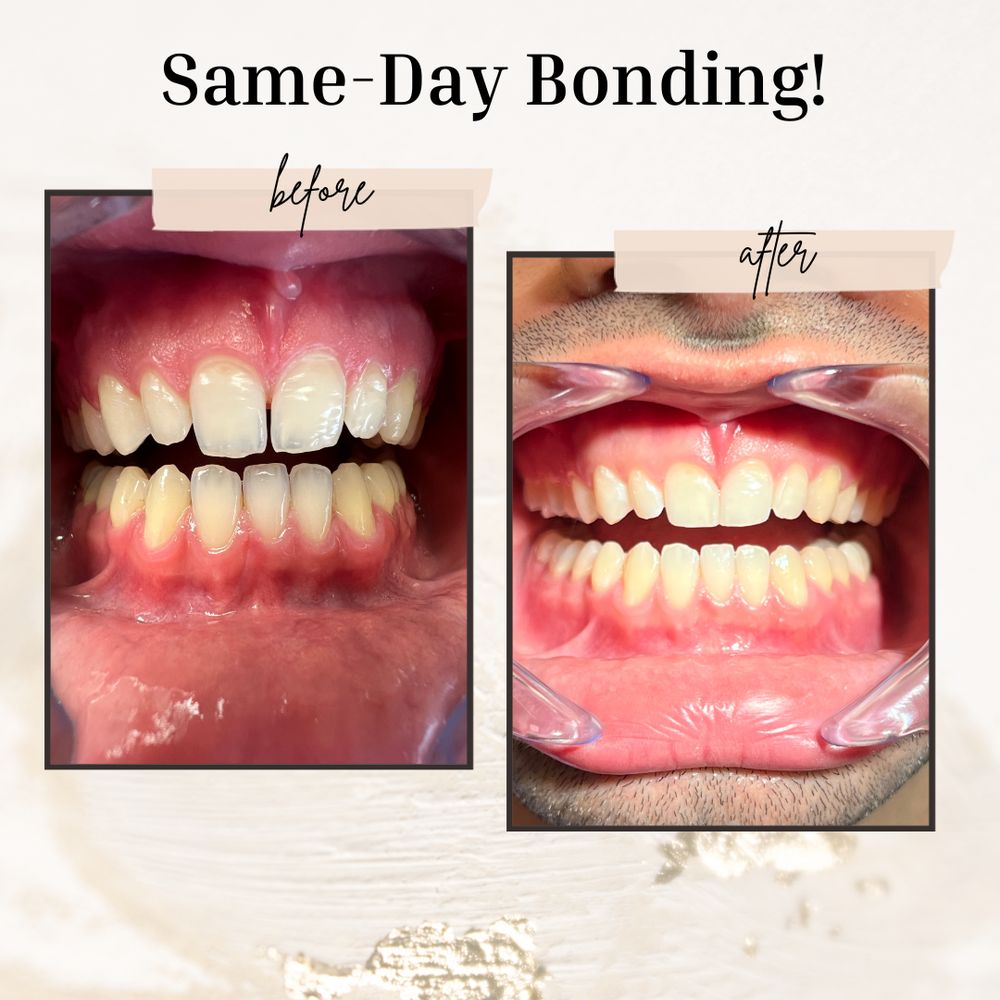 Mojgan Shokri, DDS - Mega Bite Dental - sleep specialist in Woodland Hills, CA