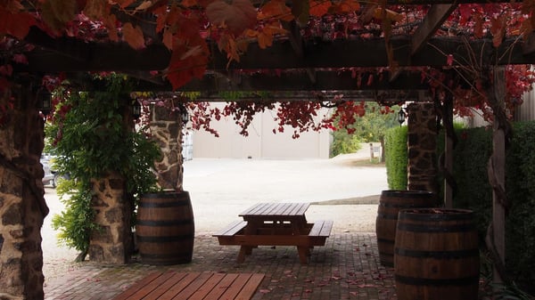 Langmeil Winery - Home of Barossa Valley's Oldest Shiraz Vineyard by null
