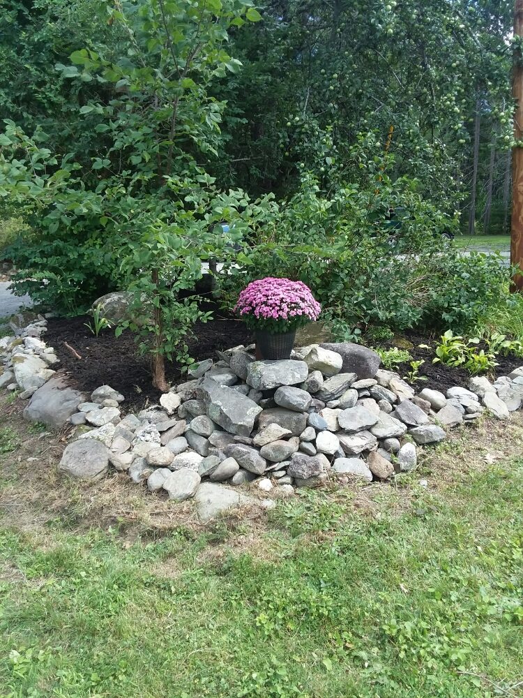 Affordable Lawn Care & More - tree service in Glenburn, ME