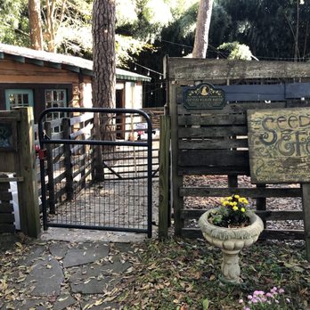 Alpaca Treehouse in the Bamboo Forest - Entrance - Vacation Rentals Near Me - Atlanta, Georgia