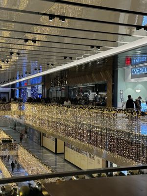 Shake Shack Hudson Yards by null