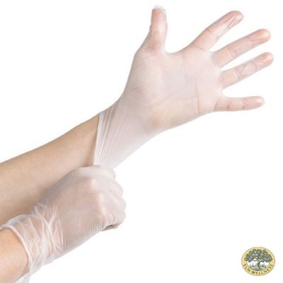 Elm Wellness by null