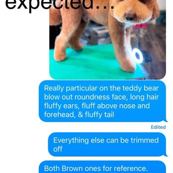 Dawgs and Paws - Grooming - Expectation vs reality - Pet Groomers Near Me - Silver Spring, Maryland Dawgs and Paws - Grooming - Expectation vs reality - Pet Groomers Near Me - Silver Spring, Maryland