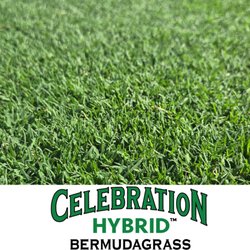 Modern Turf Sod & Landscape Supply