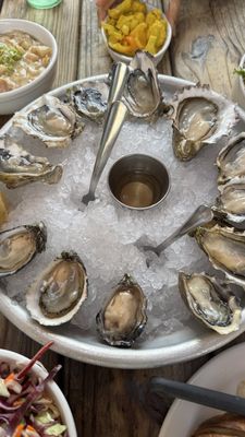 Hama Hama Oyster Saloon by null