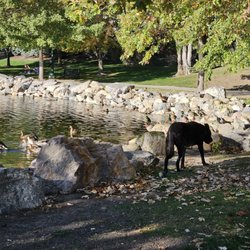 Nielsens Grove Park