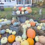 Butterfly Hill Farm Store