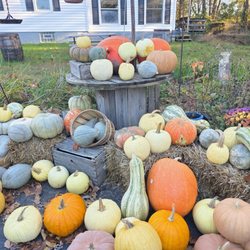 Butterfly Hill Farm Store