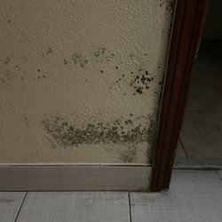 Comfort Inn & Suites - Mold