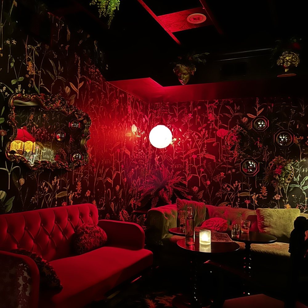 DC Vegan - Romantic lounge area - so dreamy - Vegan Near Me - Washington, DC, District of Columbia