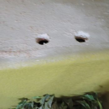 Repipe Specialists - Phoenix - work intentionally left unfinished. - The image shows a concrete surface with two circular holes near the top. The surface appears weathered or unfinished, with some rough texture. At the bottom of the image, there are green leaves or plants partially visible, suggesting the surface may be part of an outdoor structure or wall with vegetation nearby. - Plumbing Near Me