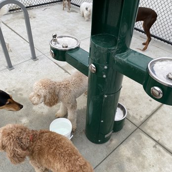 GGP Dog Training Area - Water Fountain area - Dog Parks Near Me - San Francisco, California GGP Dog Training Area - Water Fountain area - Dog Parks Near Me - San Francisco, California