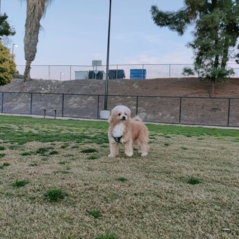 Fletcher “Fetch” Dog Park - Dog - Dog Parks Near Me - El Monte, California