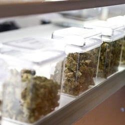 Great variety of High Quality Medicinal Strains, Edibles, Hash and more!
