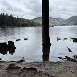 Pinecrest Lake Resort - Lake views