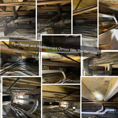 Olmoni Elite Pro Services Logo